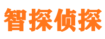 渭城侦探公司